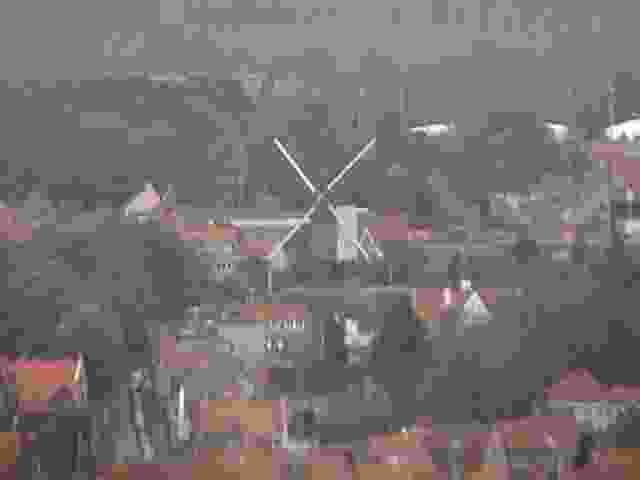 Enlarge DSC00893.JPG